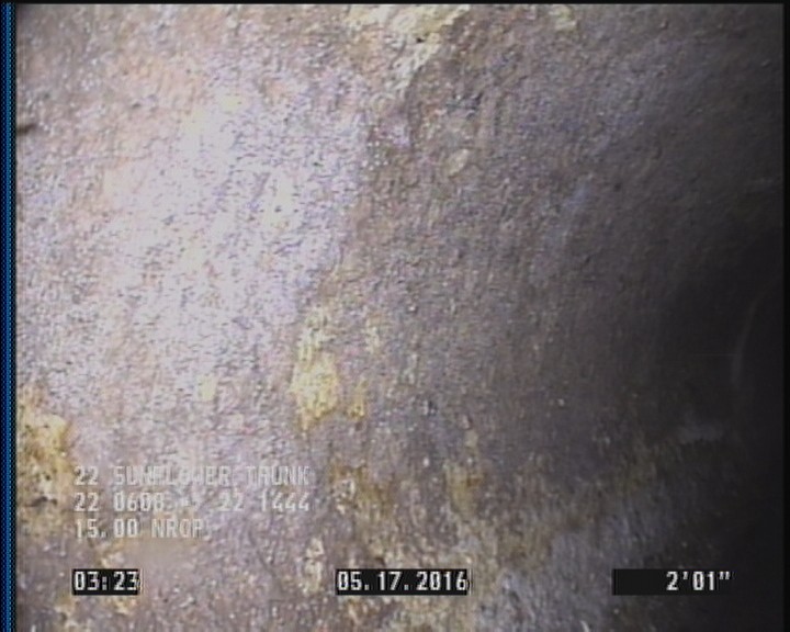 Surface Aggregate Visible, from 08 to 04 o'clock, within 8 inches of joint: YES, Start