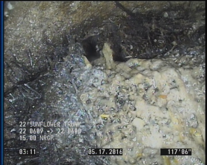 Tap Factory Made Active, at 10 o'clock, -, within 8 inches of joint: YES, 4" - 85% ROOTS INSIDE
