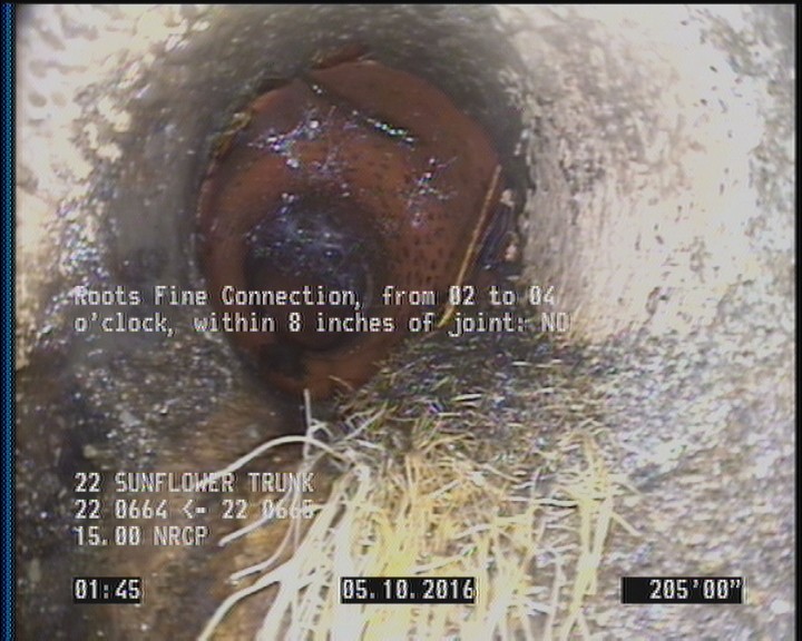 Roots Fine Connection, from 02 to 04 o'clock, within 8 inches of joint: NO