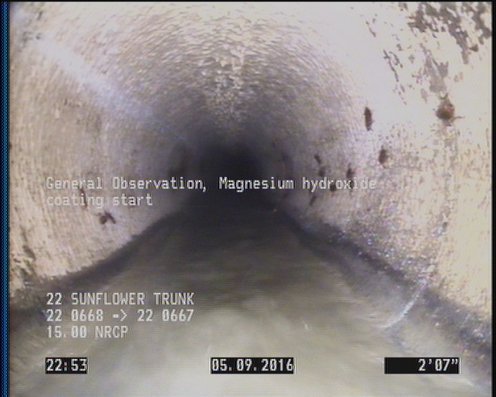 General Observation - Magnesium hydroxide coating start