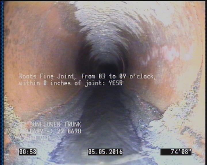 Roots Fine Joint, from 03 to 09 o'clock, within 8 inches of joint: YESR