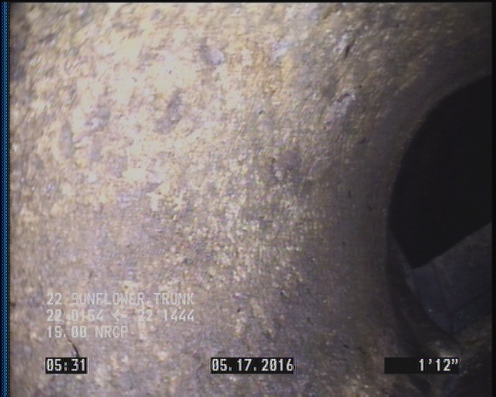 Surface Aggregate Visible, from 07 to 05 o'clock, within 8 inches of joint: YES