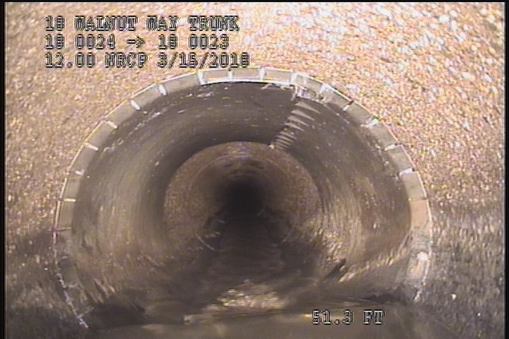General Photograph - SMALL ROOT REMOVED