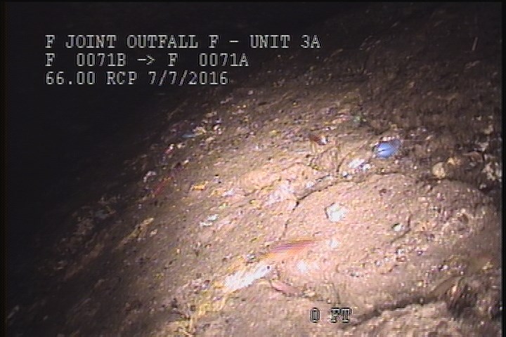 Upstream Manhole, Survey Begins - 10:28 AM