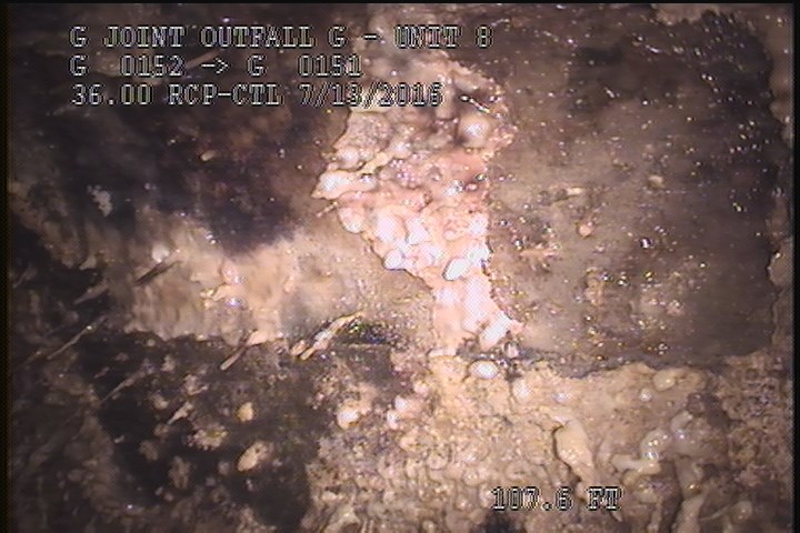 General Observation - TILES 100% IN PLACE UNDER MAG COAT