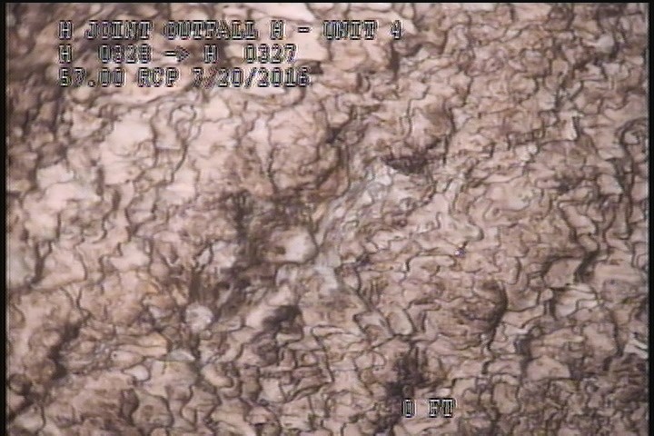General Photograph - MAG COAT