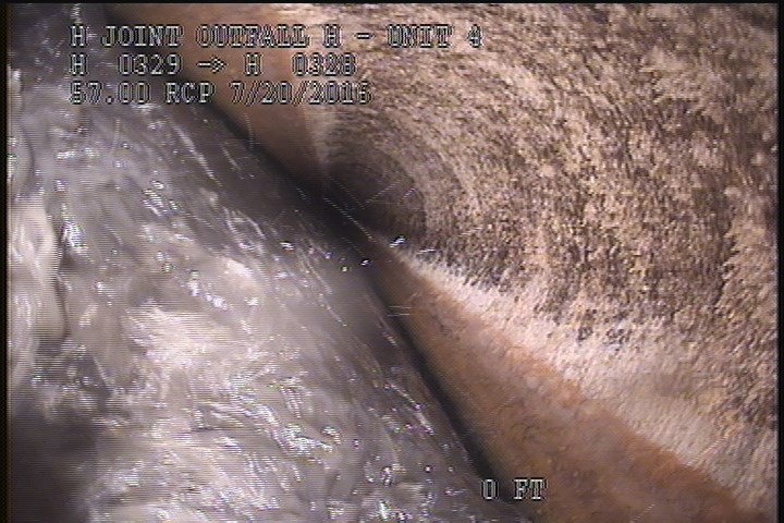 General Observation - MAG COAT 100% START 9:00 TO 3:00