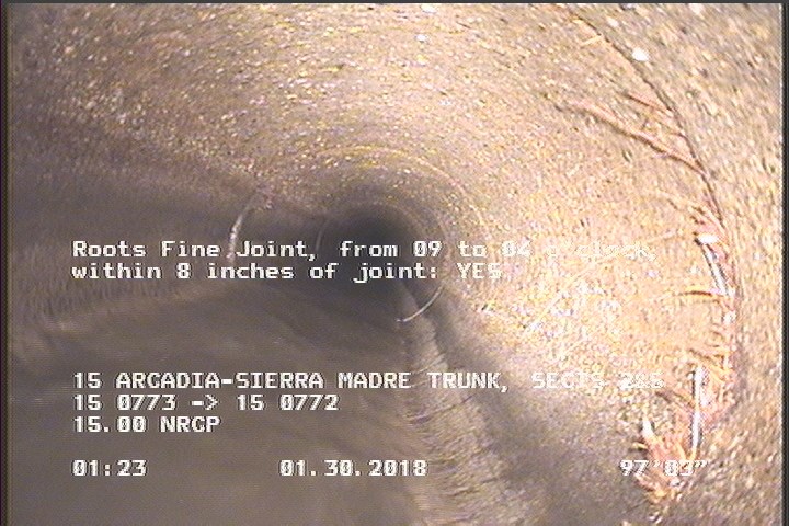 Roots Fine Joint, from 09 to 04 o'clock, within 8 inches of joint: YES