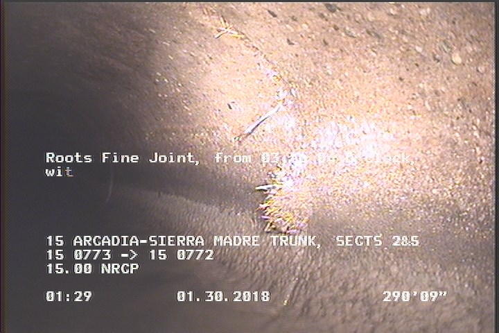 Roots Fine Joint, from 03 to 04 o'clock, within 8 inches of joint: YES