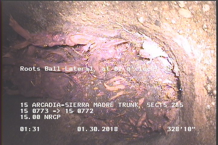 Roots Ball Lateral, at 02 o'clock, 90 %