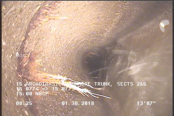 Roots Fine Joint, from 10 to 02 o'clock, within 8 inches of joint: YES