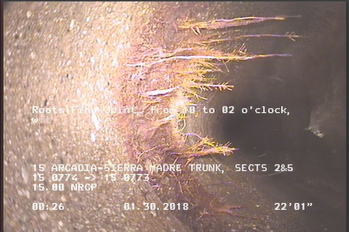 Roots Fine Joint, from 10 to 02 o'clock, within 8 inches of joint: YES