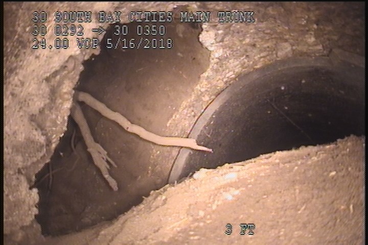 Surface Missing Wall, from 09 to 12 o'clock, within 8 inches of joint: YES - HOLE IN THE PIPE, LOOKS LIKE ROOTS BROKE THROUGH