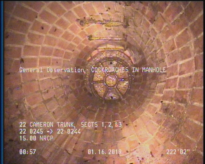 General Observation - COCKROACHES IN MANHOLE