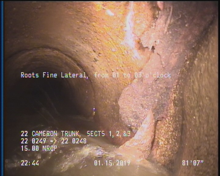 Roots Fine Lateral, from 01 to 03 o'clock