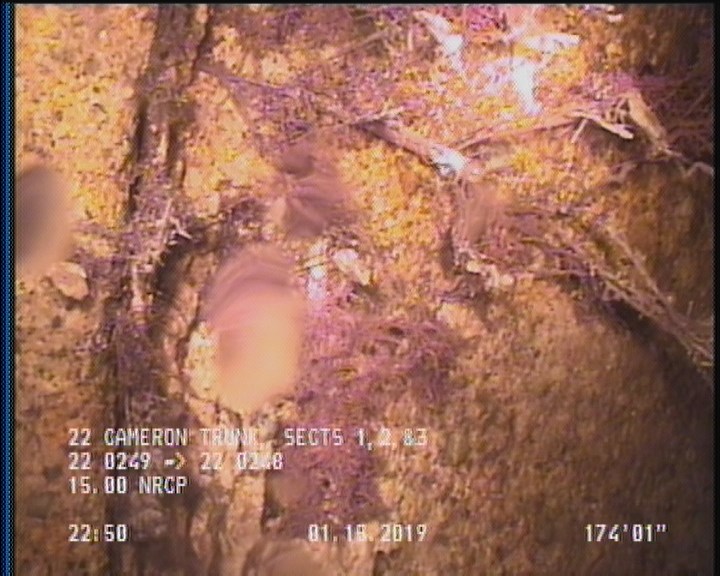 Roots Fine Joint, from 10 to 02 o'clock, within 8 inches of joint: YESR
