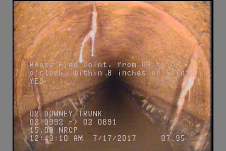 Roots Fine Joint, from 09 to 03 o'clock, within 8 inches of joint: YES