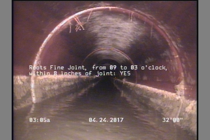 Roots Fine Joint, from 09 to 03 o'clock, within 8 inches of joint: YES