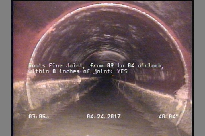 Roots Fine Joint, from 09 to 04 o'clock, within 8 inches of joint: YES