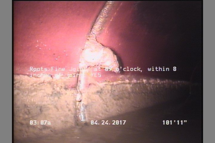 Roots Fine Joint, at 09 o'clock, within 8 inches of joint: YES