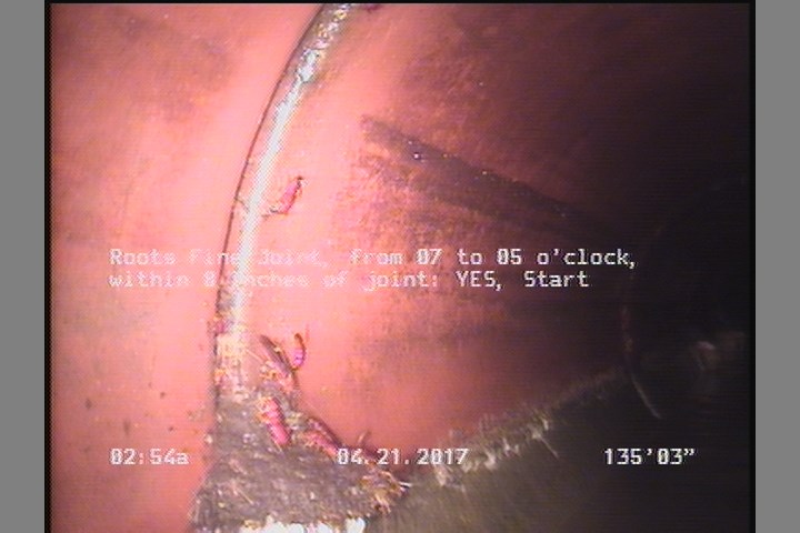 Roots Fine Joint, from 07 to 05 o'clock, within 8 inches of joint: YES, Start