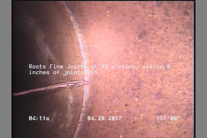Roots Fine Joint, at 12 o'clock, within 8 inches of joint: YES