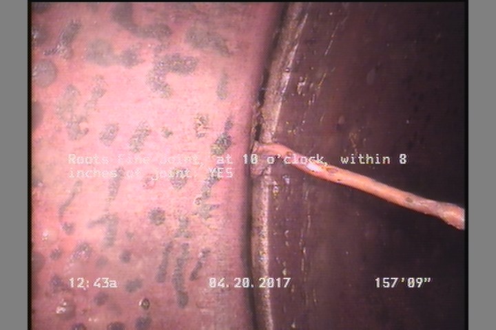 Roots Fine Joint, at 10 o'clock, within 8 inches of joint: YES