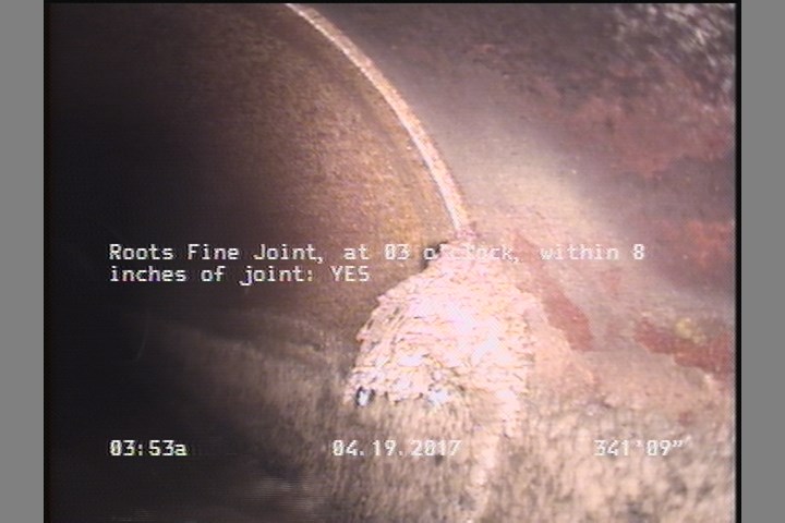 Roots Fine Joint, at 03 o'clock, within 8 inches of joint: YES