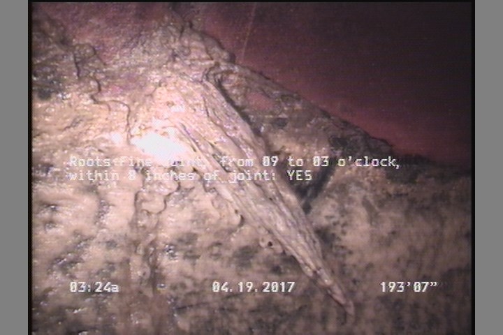 Roots Fine Joint, from 09 to 03 o'clock, within 8 inches of joint: YES