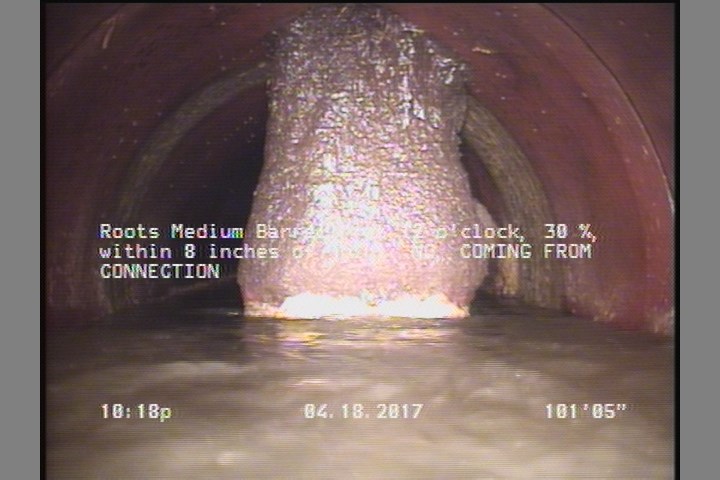 Roots Medium Barrell, from 12 to 06 o'clock, 30 %, within 8 inches of joint: NO - COMING FROM CONNECTION