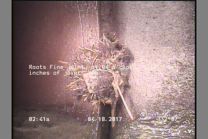 Roots Fine Joint, at 04 o'clock, within 8 inches of joint: YES