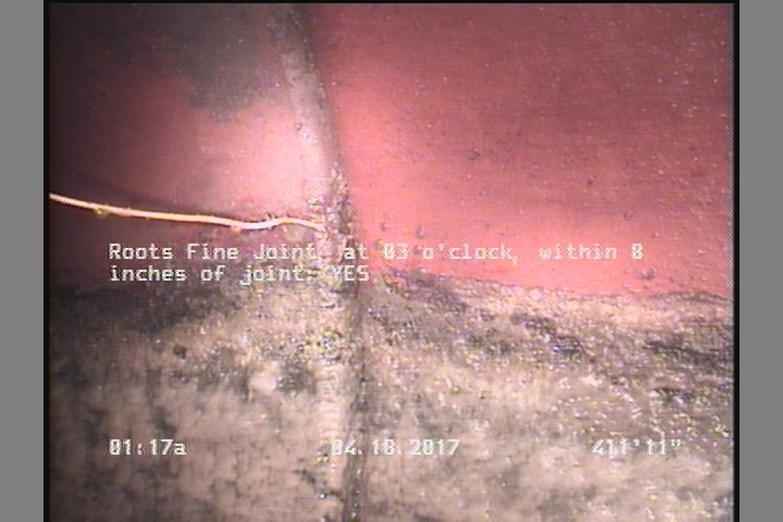Roots Fine Joint, at 03 o'clock, within 8 inches of joint: YES
