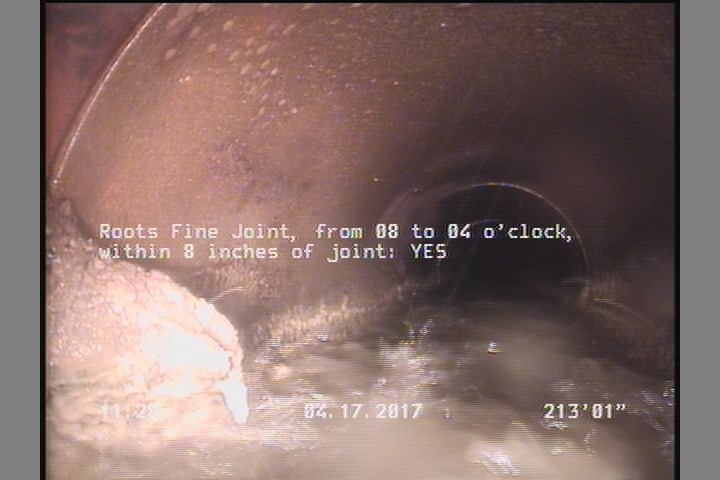 Roots Fine Joint, from 08 to 04 o'clock, within 8 inches of joint: YES