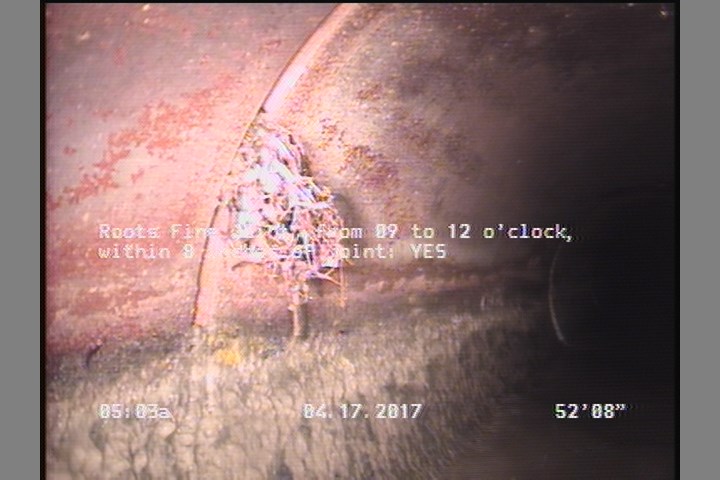 Roots Fine Joint, from 09 to 12 o'clock, within 8 inches of joint: YES