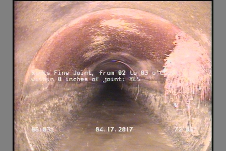 Roots Fine Joint, from 02 to 03 o'clock, within 8 inches of joint: YES