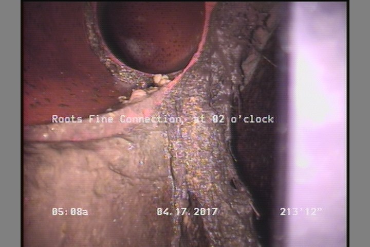 Roots Fine Connection, at 02 o'clock