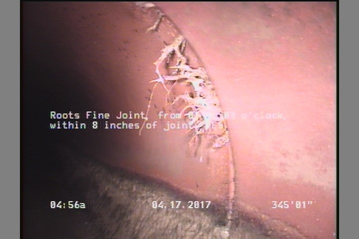 Roots Fine Joint, from 01 to 03 o'clock, within 8 inches of joint: YES