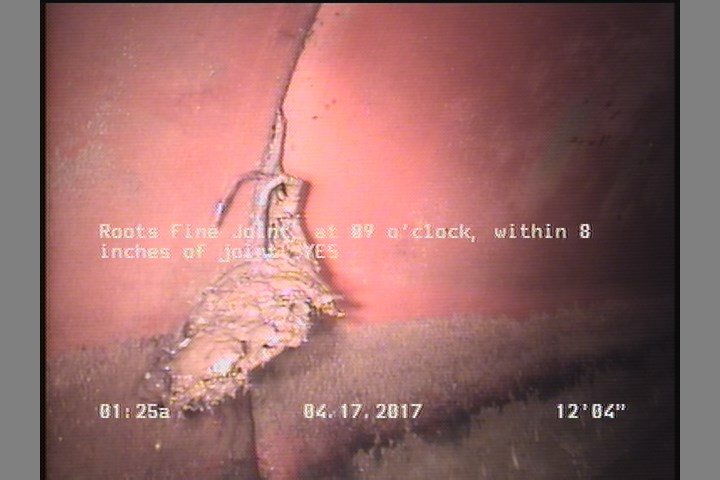 Roots Fine Joint, at 09 o'clock, within 8 inches of joint: YES