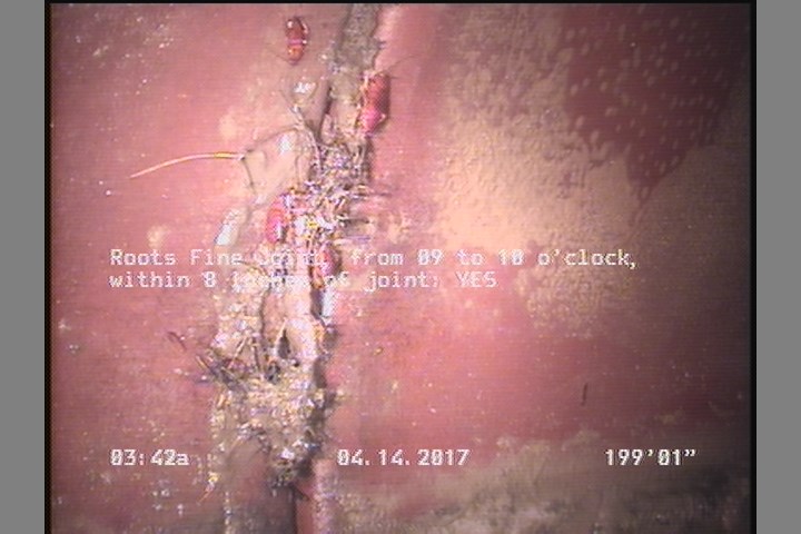 Roots Fine Joint, from 09 to 10 o'clock, within 8 inches of joint: YES