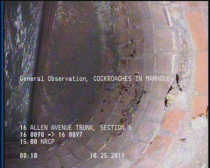 General Observation - COCKROACHES IN MANHOLE