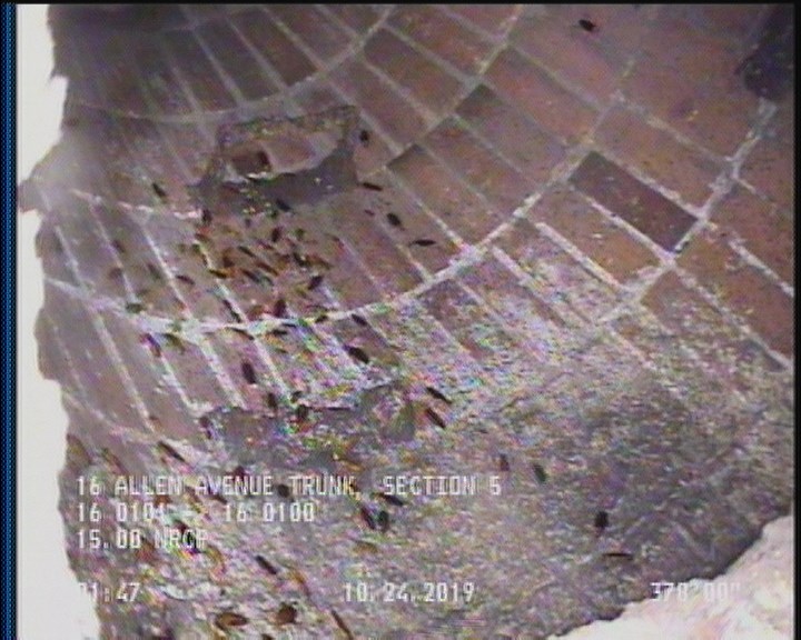 General Observation - COCKROACHES IN MANHOLE
