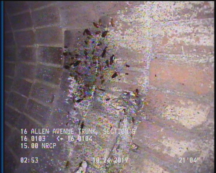 General Observation - COCKROACHES IN MANHOLE