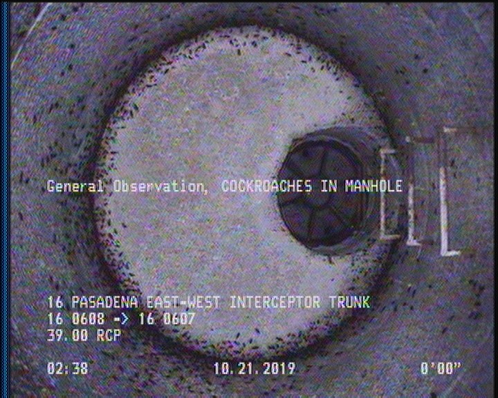 General Observation - COCKROACHES IN MANHOLE