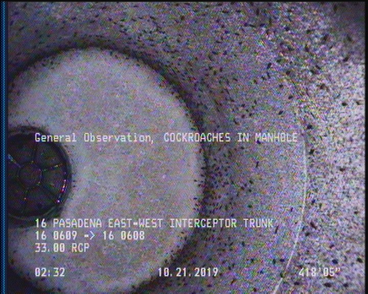 General Observation - COCKROACHES IN MANHOLE