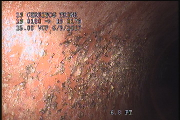 General Photograph - ENCRUSTATION
