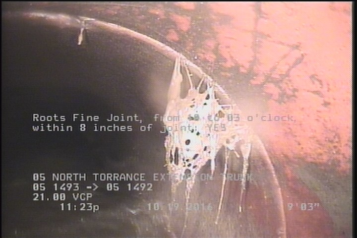 Roots Fine Joint, from 10 to 03 o'clock, within 8 inches of joint: YES