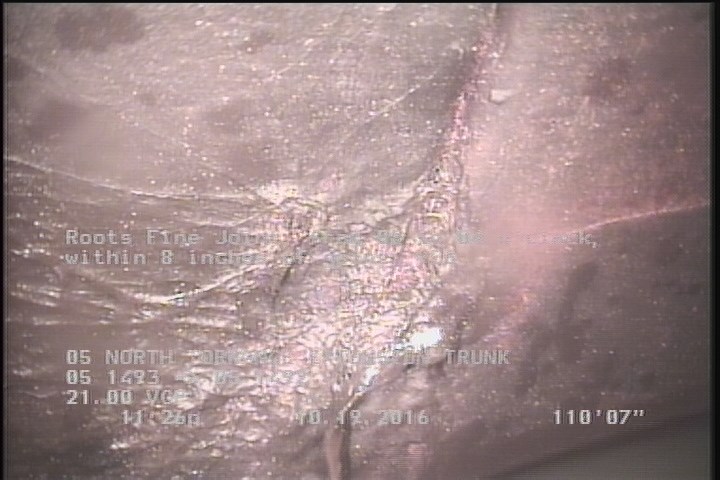 Roots Fine Joint, from 08 to 04 o'clock, within 8 inches of joint: YES