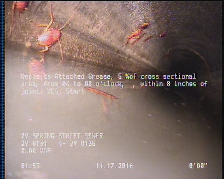 Deposits Attached Grease, 5 %of cross sectional area, from 04 to 08 o'clock, , within 8 inches of joint: YES, Start