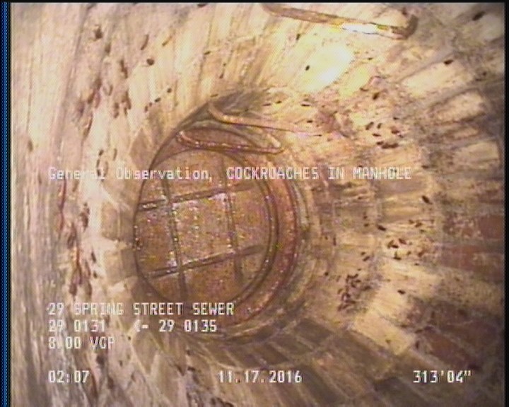 General Observation - COCKROACHES IN MANHOLE