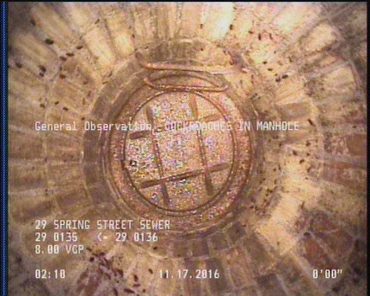 General Observation - COCKROACHES IN MANHOLE